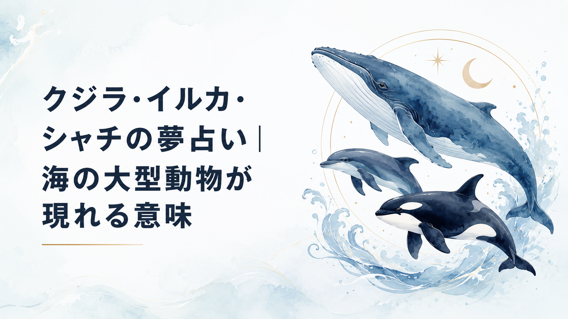 クジラ・イルカ・シャチの夢占い｜海の大型動物が現れる意味